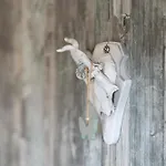 Tiny House